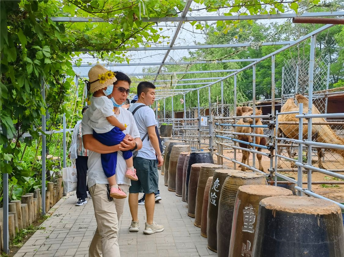 记忆|延庆最受欢迎的青山园亲子乐园，夏日游玩避暑好去处