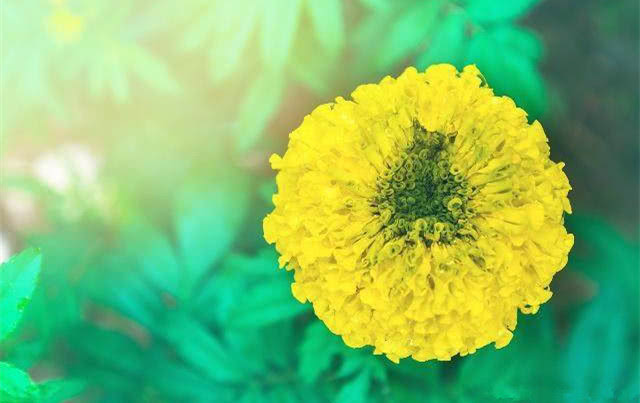 7月3日运势大翻盘 霉运已散 好运不断 将要发大财的三大星座 财运亨通