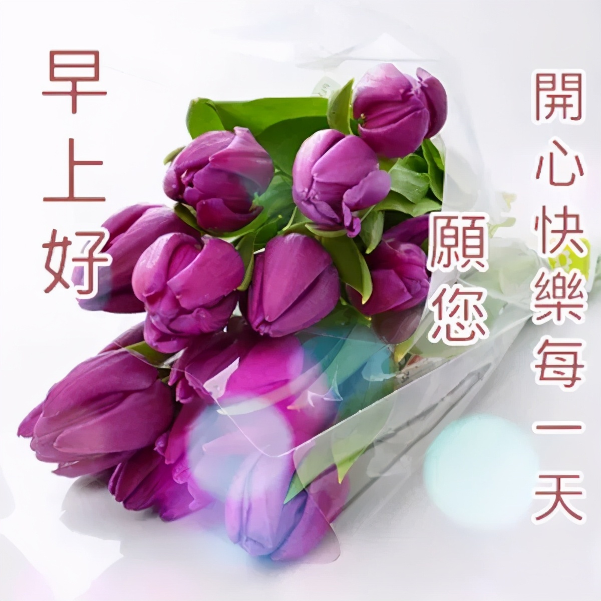 祝福早安动态图 夏天早安发朋友圈祝福图片