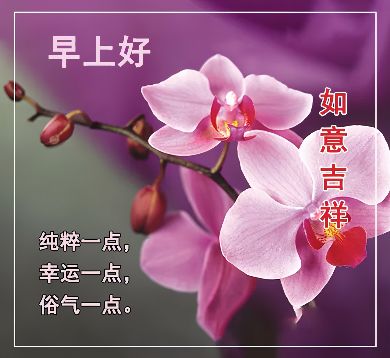 祝福早安动态图 夏天早安发朋友圈祝福图片