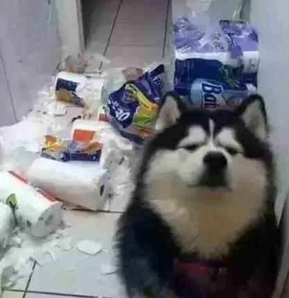 6aebdfcd53cb46558507a17bd16f0faf.jpeg