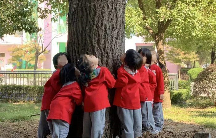 指令|这3类孩子，在幼儿园中最得老师的喜爱，你家孩子在其中吗？