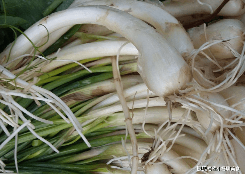 这菜一买就是10斤,一周吃3次,隔夜排宿便,口臭没有了,腰变细了