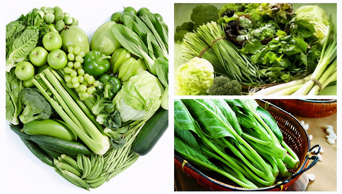 现在可以种什么青菜 9b5ed1a9531d43e89265e247cfe853f6.jpeg