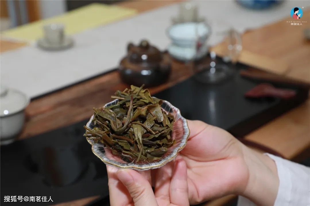 制成的|弯弓古树原料制成的古树春茶和古树白茶，有哪些优势和发展空间？