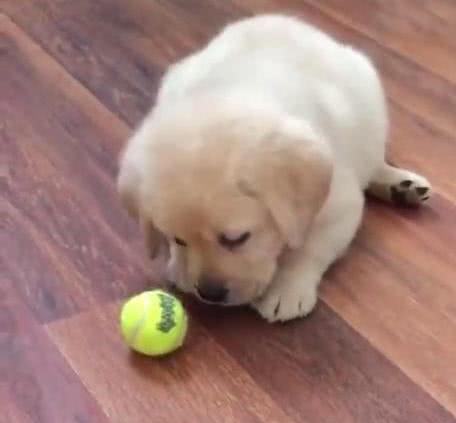 石头人躺地上装死对面看得见吗 58dbe5f5218145a0bc81cea7322de903.jpeg