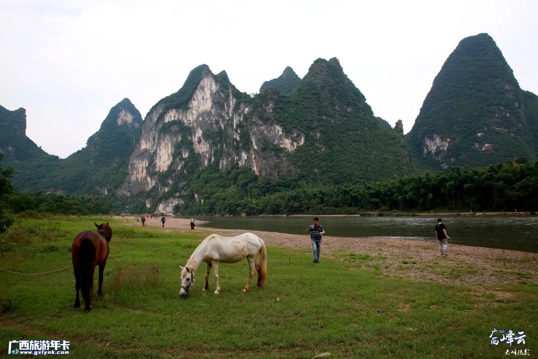 桂林九马画山一座山峰九匹马你数出了几匹广西旅游年卡