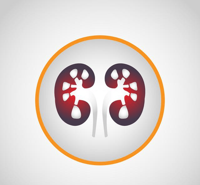 严重|肾脏病理4级,是不是没救了?