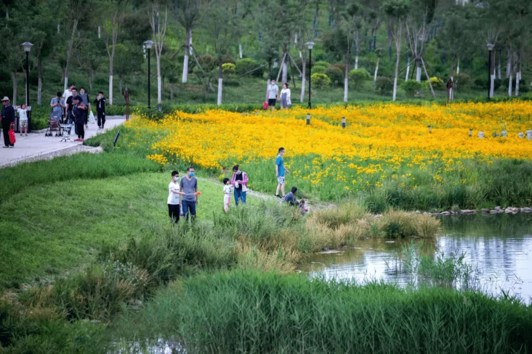 格桑梅朵|藏匿在市区的玩水纳凉好去处，野趣风光无限，仿佛置身画里！