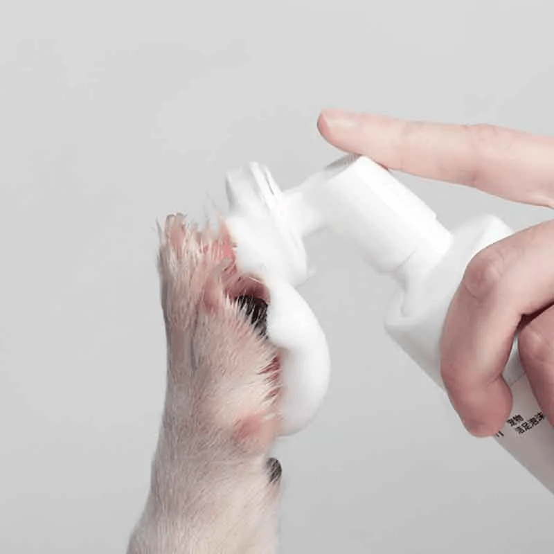 狗狗患上趾间炎有多可怕 原因和防治办法都在这 请主人记好 脚掌