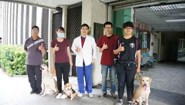 9岁警犬乖乖的翻着肚皮接受超音波检查 样子太萌了 Open 9岁警犬乖乖的翻着肚皮接受超音波检查 样子太萌了 Open