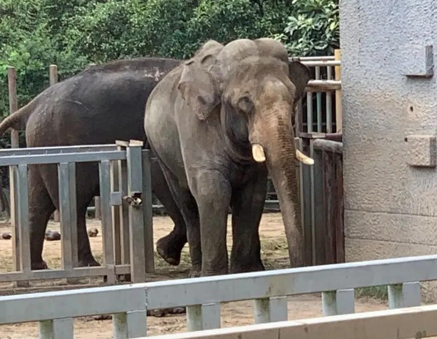 in|『缤纷夏日 七彩童年』吉利汽车无锡同元员工亲子拓展 in 南京！