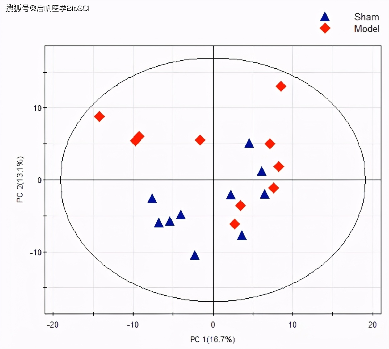 在线绘制PCA图和Heatmap，一键出图_数据