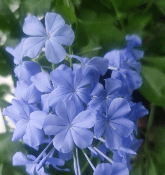 3c2c987753b442d8ad3f1d0ac03d69ab.png