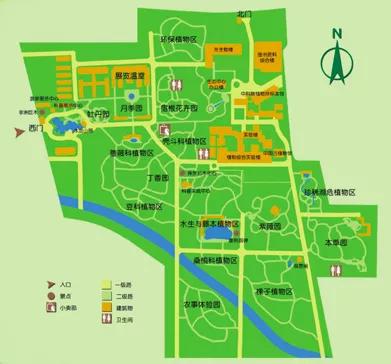 研学故事夜探植物园寻找宝藏植物