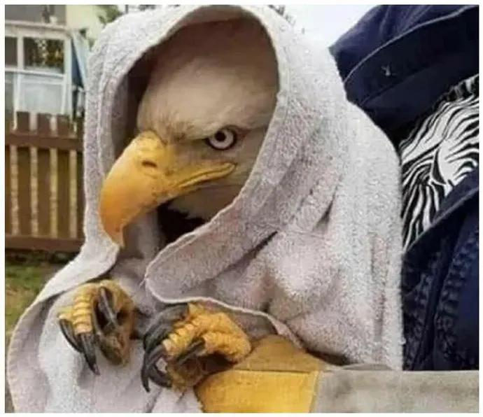 【被窝段子7】下一位白方选手鹰爪王即将登场【被窝段子6】这个比断袖