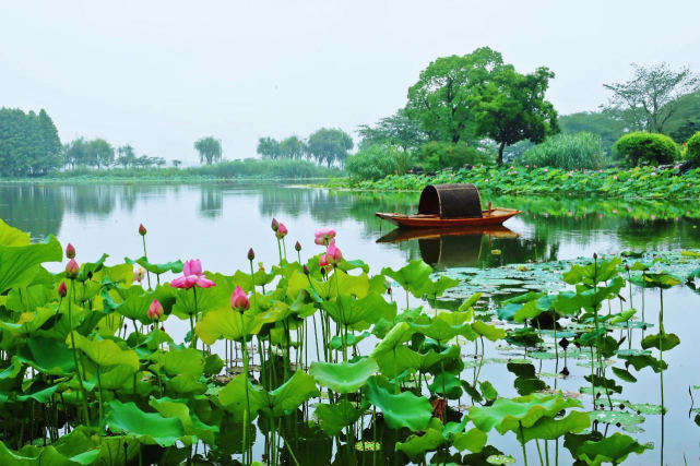 来鼋头渚就对了去哪过一个凉爽的夏天一转眼就跌进了炎炎的夏天竹方床