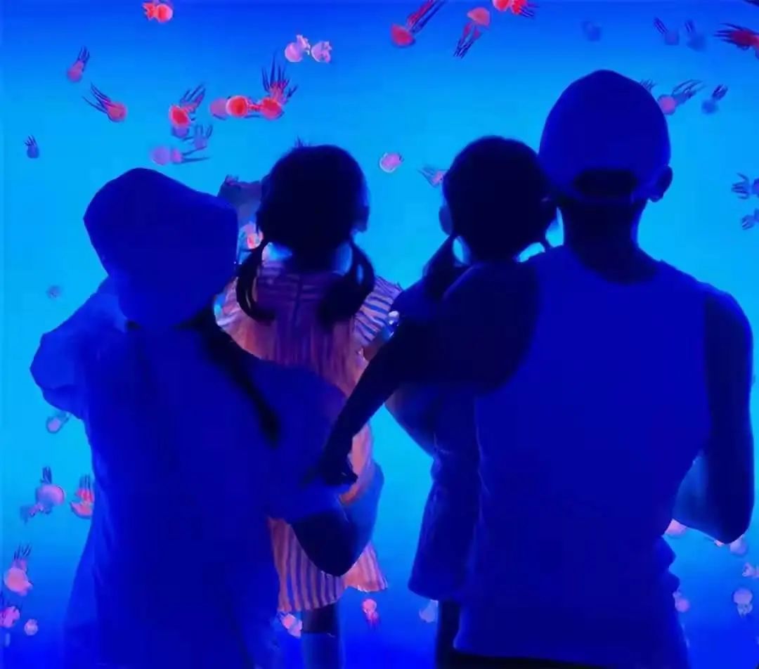 全市|?谢娜侄儿考进清华，身高1米95全市第三，昔日简历把人看懵