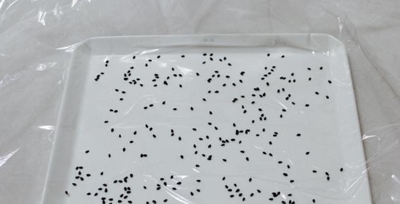 什么|自从学会了这早餐，连吃5天都不够，全家都爱，一袋米几天就见底