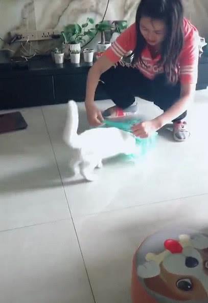 在家怎么做抗阻训练女生 6b6ff3e2f32f41ccbd50b607416ff774.jpeg