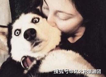 因为|对狗狗来说，这5类人最可怕了，你在其中吗？