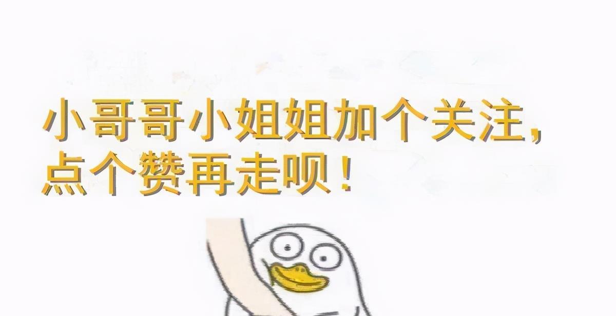 猫咪|猫咪长寿的秘诀,这些事情你做对了吗?