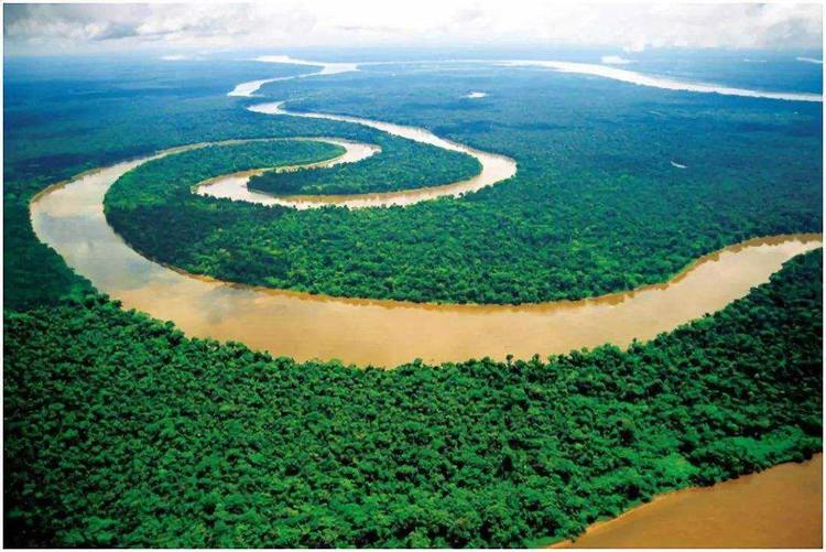 为什么至今仍没有一座桥敢跨越亚马逊河？
