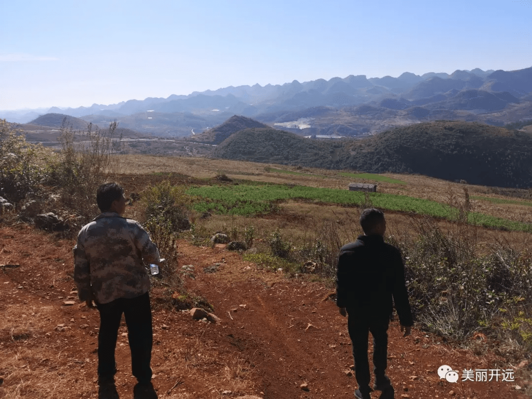 荒土變良田開遠土地整治槓槓噠