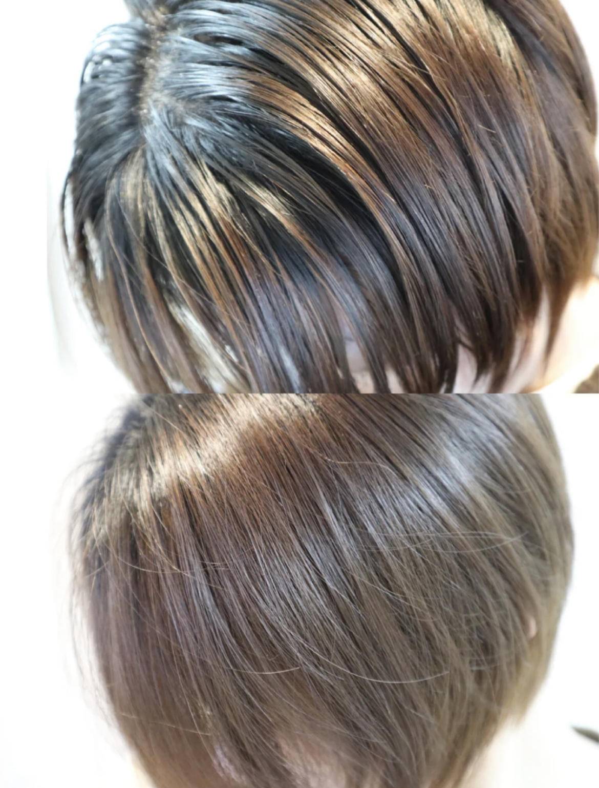 山茶花|温度-10度！超级清凉，简直就是炎热夏日必备！