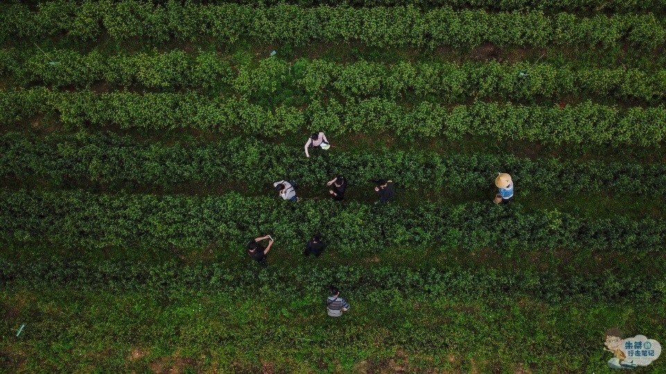 文化|我国第一生态经济示范区，坐拥自然文化双遗产，被誉千载诗人地