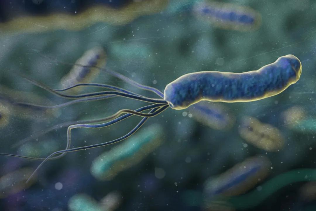 幽门|医者解读 | 按照医生给别人治疗幽门螺杆菌的药方自己治疗行不行？