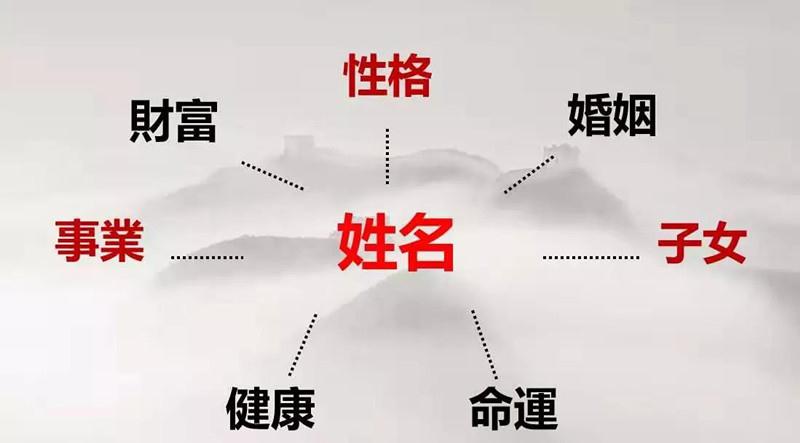 周公解梦鸟跑我身边喊叫，寓意与启示的深度解析