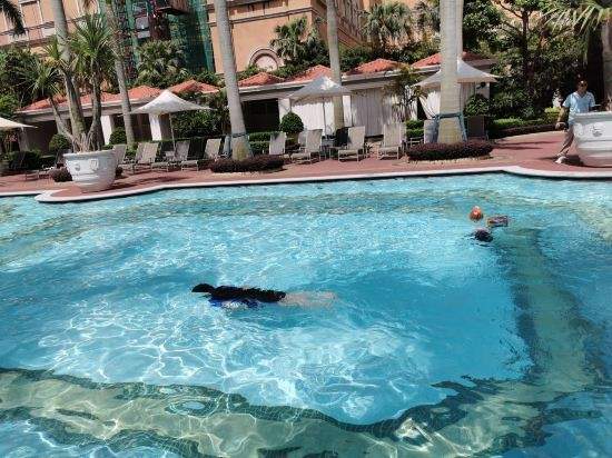 泳池|取消通关48h核酸 澳门亲子游好去处