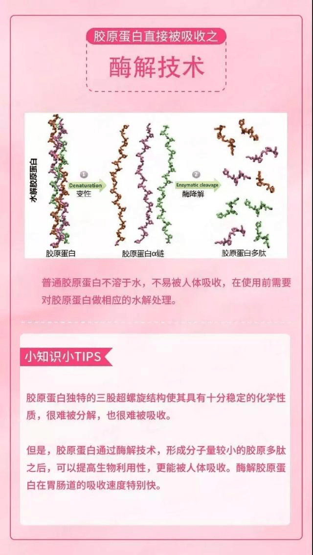 人体|紧致水润肌·养成术||胶原蛋白真的那么重要吗？