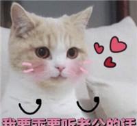 6528e95bd6b34e35b1ce3799d1a93a3f.jpeg