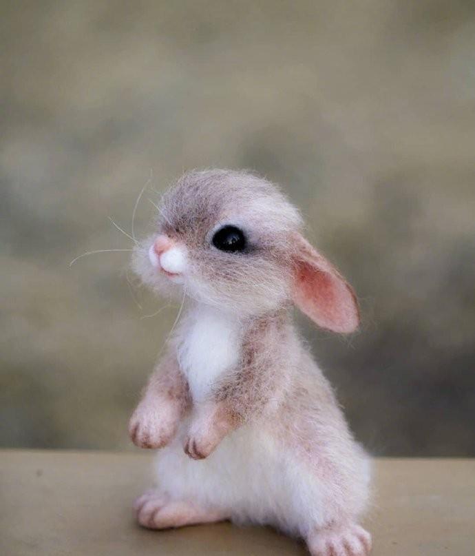 可爱逼真的手工羊毛毡小动物系列