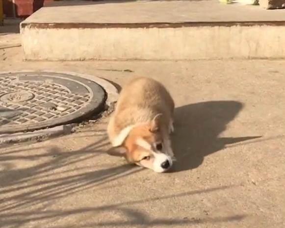 观点评论|不知道这6根铁链能否锁住这妖兽，网友：金刚伏魔锁妖大阵？