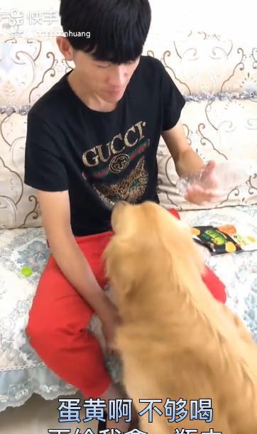 机灵鬼|主人吃零食渴了指使金毛去拿水，这货为了报复拿了桶20升的水来