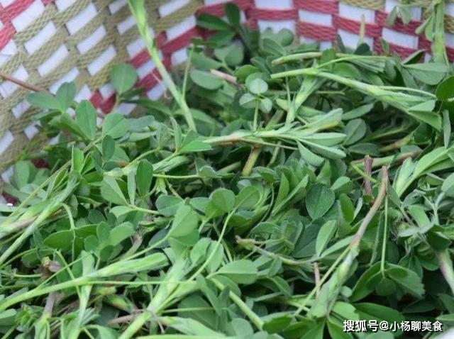 農村路邊的野菜,我們不吃,出口日本成