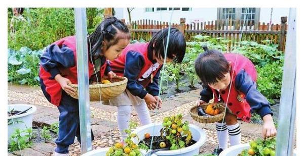 因为|4岁宝宝被5次退园，老师说：我不是保姆，宝妈尽无言以对