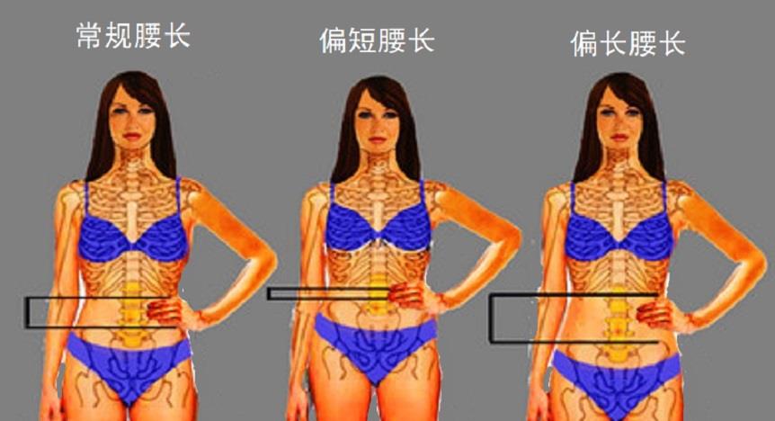 上半身|刘亦菲、伊万卡的夏天时尚搭配技巧，如何选对腰带，搭配连衣裙