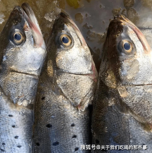 怎么挑选新鲜的活鱼 5e656612a06a44ecad451eaf73c3b855.png