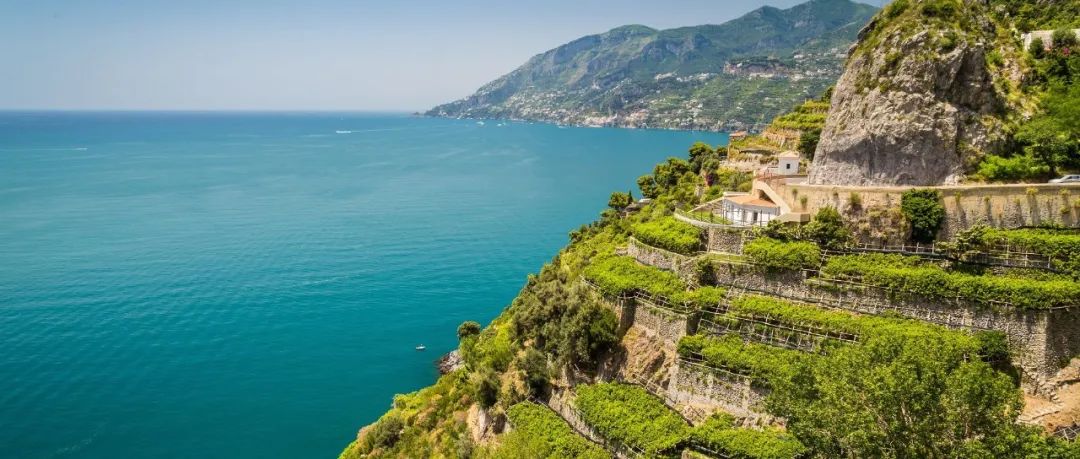 Wine|Siamo Campioni！意大利葡萄酒看Wine to Asia 2021