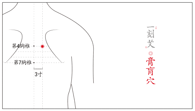 任脉上的 气海穴,足太阳膀胱经上的 膏肓穴,配合 大椎,定喘,风门,天突