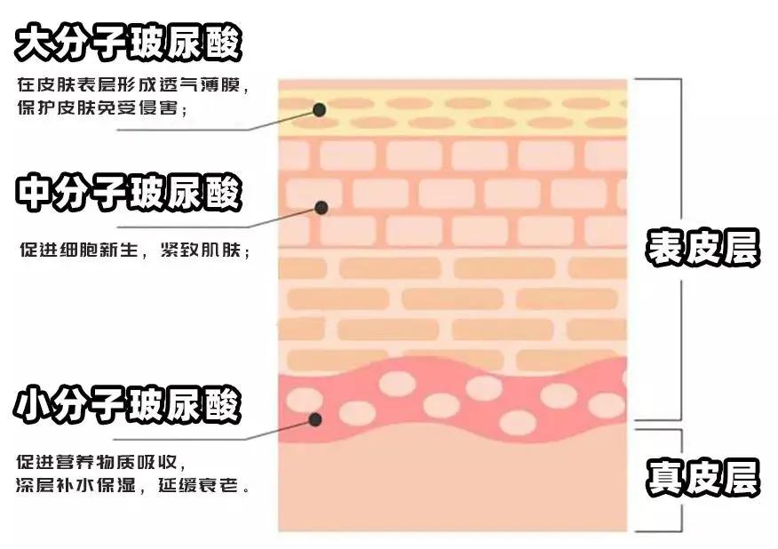 吸附力|夏天最需要的护肤品是什么？