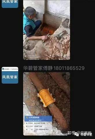 太吓人番禺华南碧桂园业主疑似被喝尸水物业回应来了