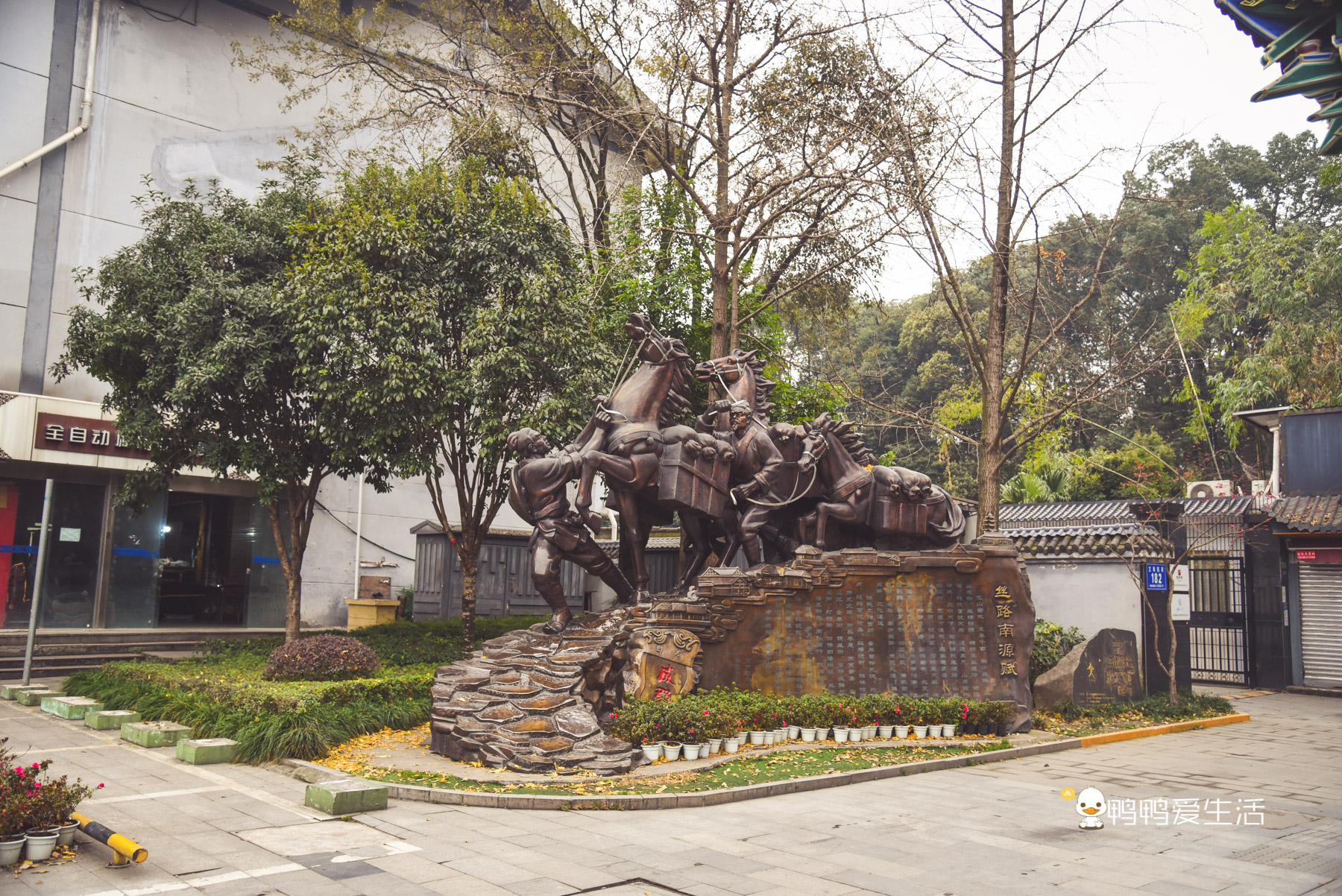 成都1400年古寺，不仅是礼佛圣地，还可以逛花园喝茶吃素食！