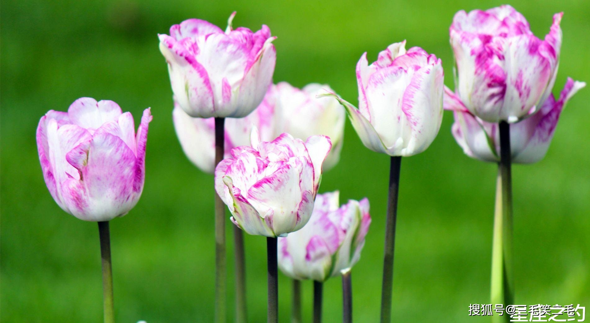 10月31日星座运势 双子座积极向上 摩羯座谦虚谨慎 才能