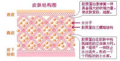 方法|爱兰诗 | 轻松解决脸部凹陷，大方撕掉年龄标签！