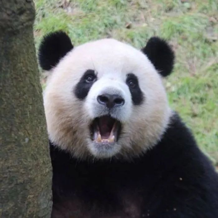因为|低调不爆闪也能拥有立体感，哑光高光集结！